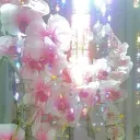 Flowerbloom