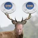 Drużyna Tuska reborn Discord server icon