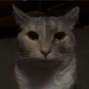 Spitter: Furry Editition