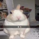 𝑓𝑟𝑒𝑎𝑘𝑟𝑦