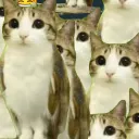 A Hangout Server!