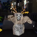 veloxvrgt tag