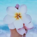 𝗢𝗰𝗲𝗮𝗻 𝗖𝗲𝗻𝘁𝗿𝗮𝗹🌊.°