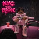 [🗽 ] NYC THE BRONX 2