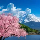 japon/nouv odisha
