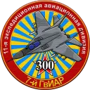 300 Squadron