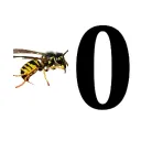 ZEROx🐝 COMMUNITY