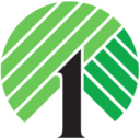 dollar tree employees