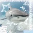 ◜　 ♡ॱ𓏽　　sharkips ocean ᨳິ    ׂ  .   　wip　₎₎    　  ๑    ♡    ⑅  ·