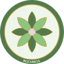 Bozarkia