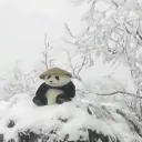 Panda Mundo