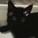 ˚₊·—̳͟͞♡ Aubade! 🕸 FUN/SCL+DECO/CATS!!