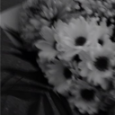 florem Discord server icon