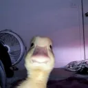 LENOWX YT Discord