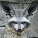 Plompy FurPile Discord server icon