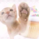 Cutie pies °❀⋆.ೃ࿔*