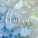 lluvia ﹒ ⪩⪨﹒decor , staff apps , gws