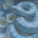 ~ Lagoon of The Sea Serpents ~ Discord server icon