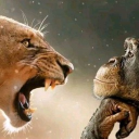 Lilium Discord server icon