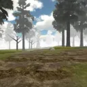 The Forest