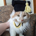 Cat College Discord Server