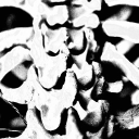 ༒♱𓆩༒𓆪♱༒ Discord server icon