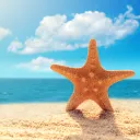 SummerSMP