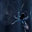SP!DERS 🕸 🕷