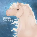 🌺 𝐒𝐏𝐑𝐈𝐍𝐆 𝐒𝐇𝐀𝐑𝐊𝐒 𝐎𝐏𝐄𝐍 𝐒𝐄𝐑𝐕𝐄𝐑 🦈
