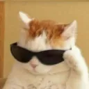 no admin [.gg/nekos]