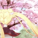 ·．.         bloom       ʚɞ .