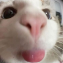 sᥕᥱᥱt ᥒothιᥒgs || ᥲrt/mᥙsιᥴ #dj2l Discord server icon