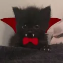 vamp life