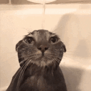 The Goobers server icon