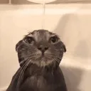 The Goobers discord icon