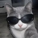 goobers discord icon