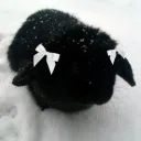 bunni ⌒⌒