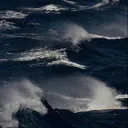 🌊 海晶 ᶻ 𝗓 𐰁 .ᐟ
