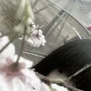 ˙⋆✮  keai