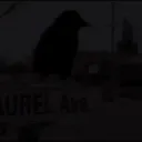 𝕿𝐇𝐄 𝕸𝐘𝐒𝐓𝐈𝐂𝐀𝐋 𝕻𝐑𝐎𝐏𝐇𝐄𝐂𝐈𝐄𝐒