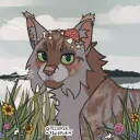 *+* Beach Cats *+*