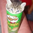 Sour Cream N Onions