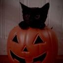 ⋆ ̊θ Chaos corner ρ ̊⋆