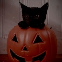 ⋆ ̊θ Chaos corner ρ ̊⋆