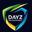 DayZ Pro League Brasil - DZPRO BR Discord Server Icon