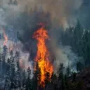 Front Range Emergency Discord