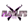 FlowLife RolePlay