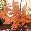JkLunars Campfire server icon