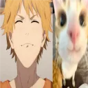 /harugi