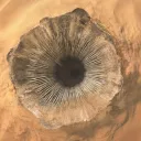 The Spiral